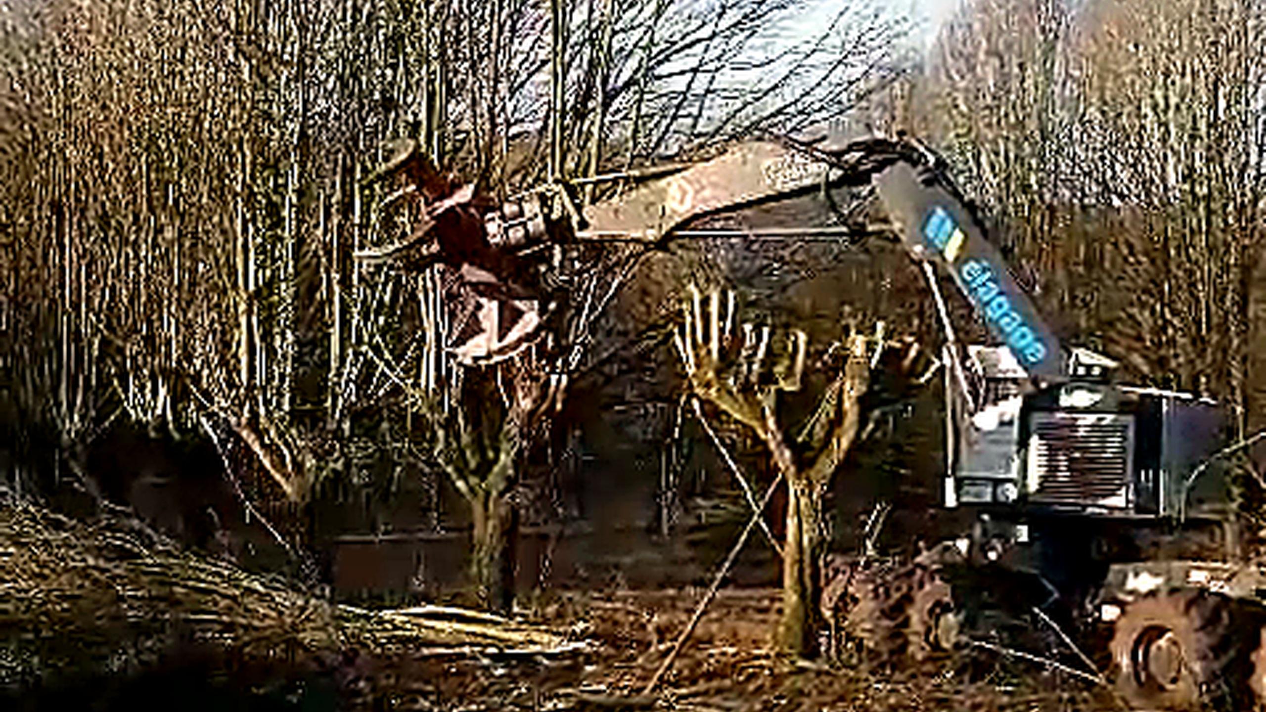 Débroussaillage — Herreville